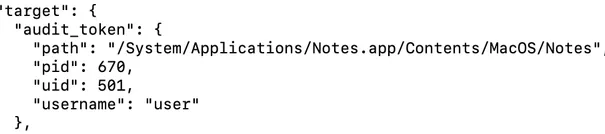 Screenshot of ESDump output where an audit token was used to resolve a process and user name
